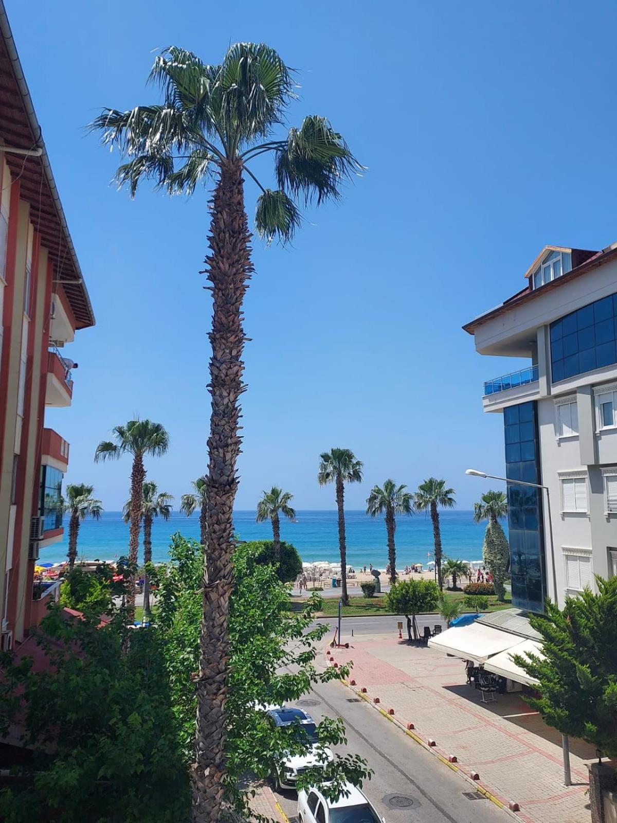 Kleopatra Sahara Hotel Αλάνια Εξωτερικό φωτογραφία